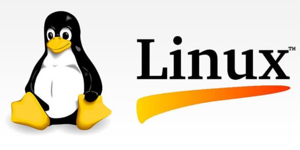 Search Large Size File in Linux